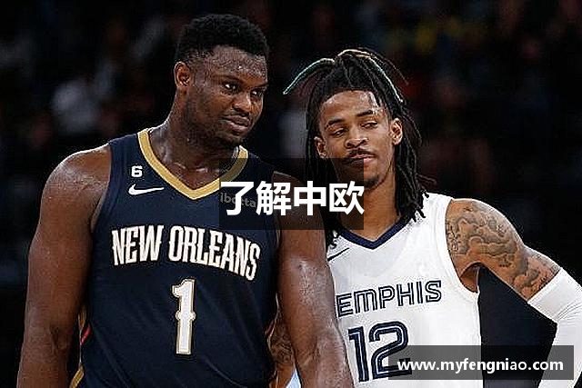 了解中欧
